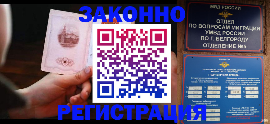 прописка 2025 в Вольске